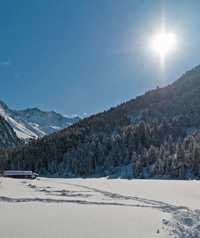 Wildschönau: Moorwanderung in Tirol