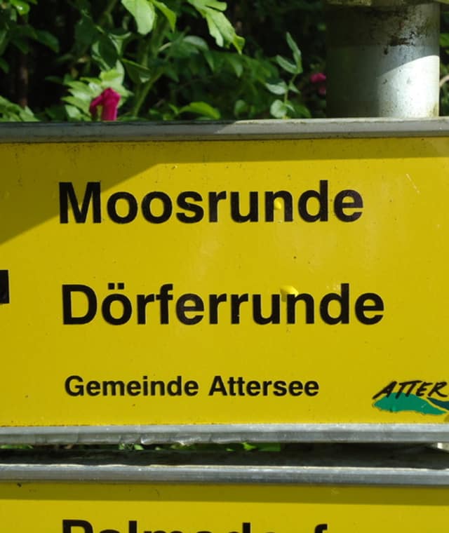 Wegweiser Moosrunde