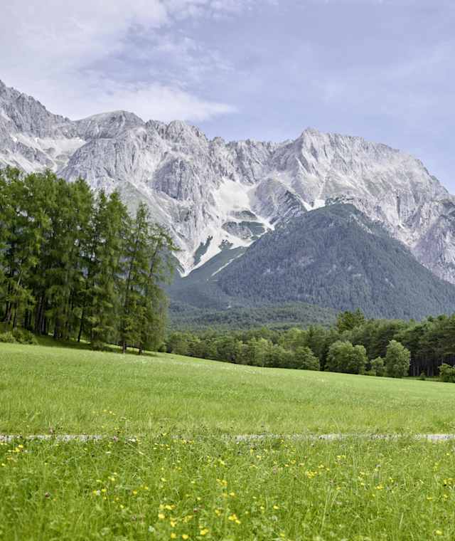 Mooswiesen am Mieminger Plateau