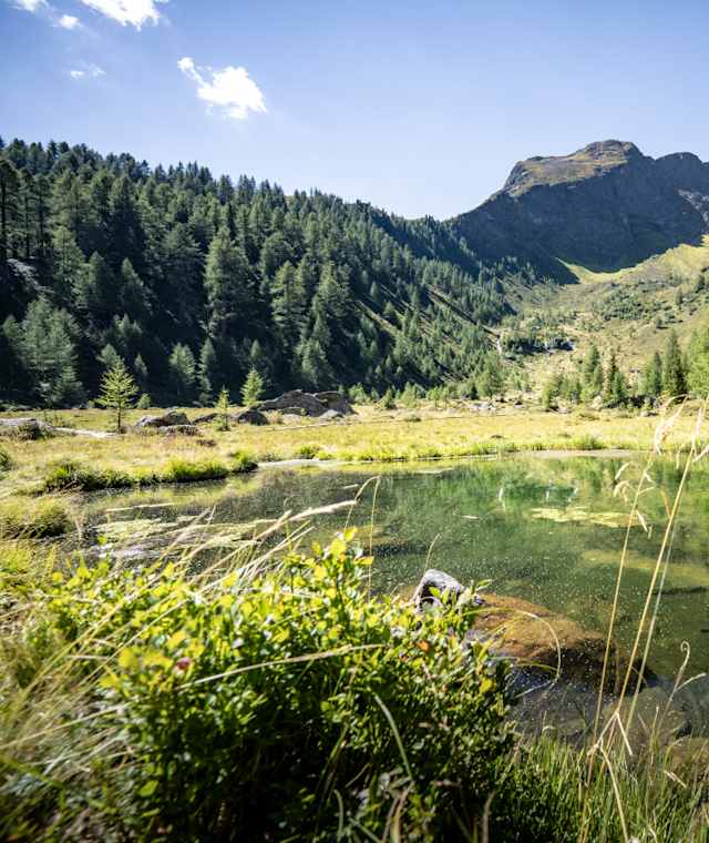 Landschaftsschutzgebiet Mösli