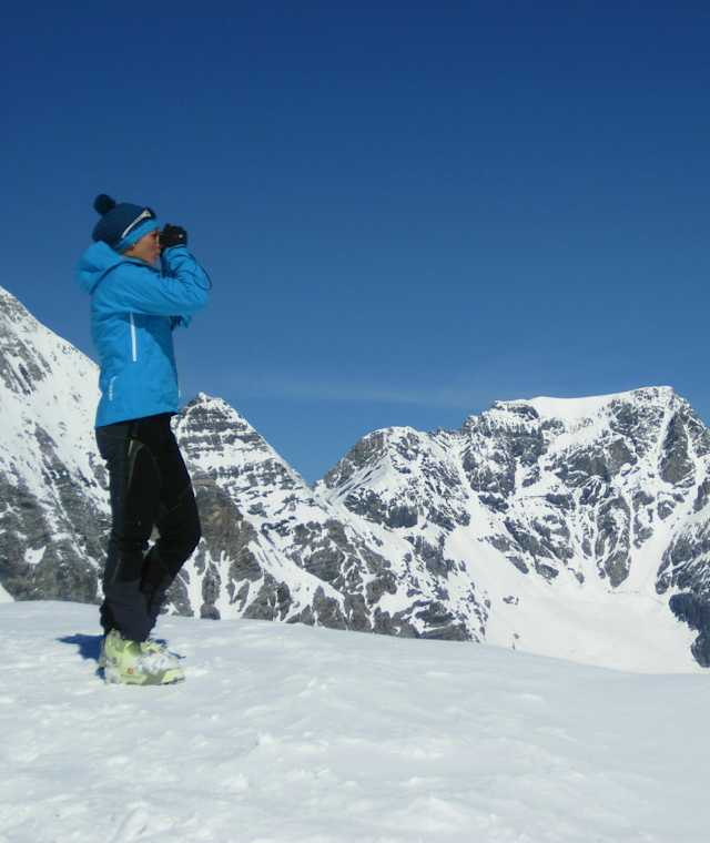 Blick zum Ortler