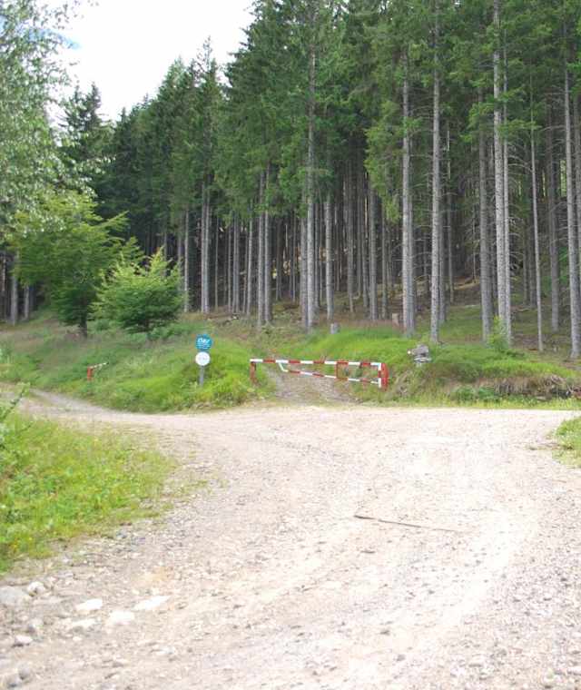 Auf die Mühldorfer Alm