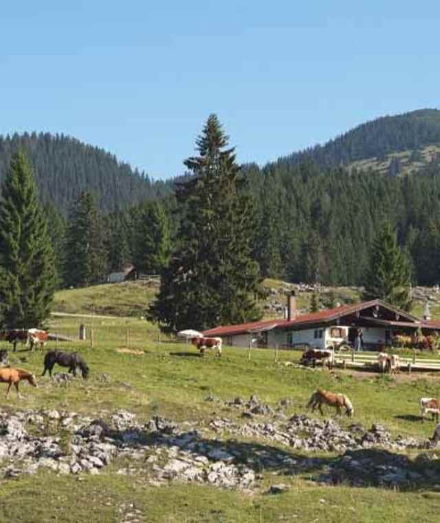 Winklmoosalm