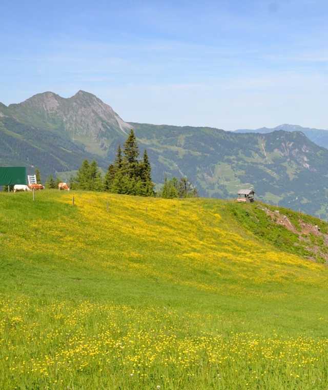 Mühlwinkel Steig