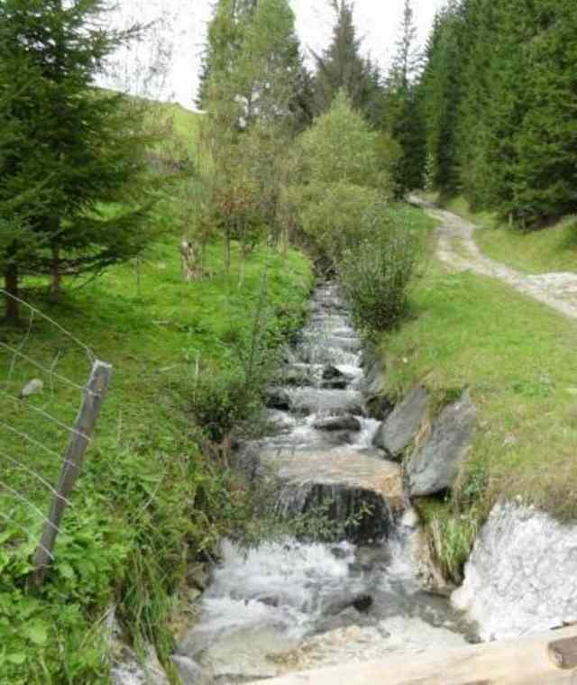 Munter sprudelndes Wasser des Kirchheimer Wildbachs - St. Oswalder Bach