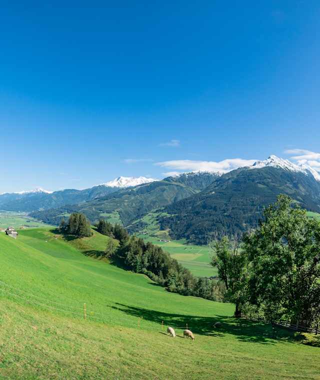 Naglköpflweg - Blick vom Naglköpfl