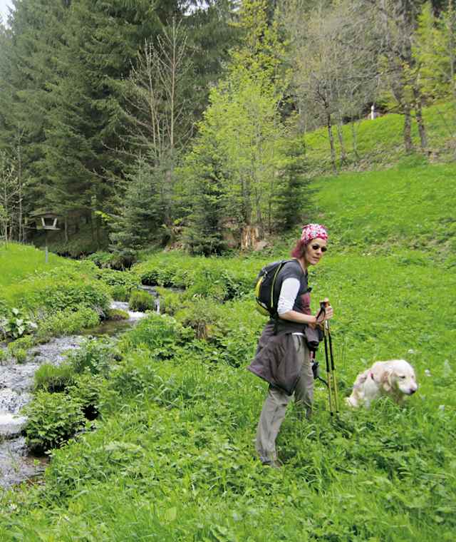 Vom Kropfbach ist es nicht mehr weit zum Jägerhof Kropfmühle.