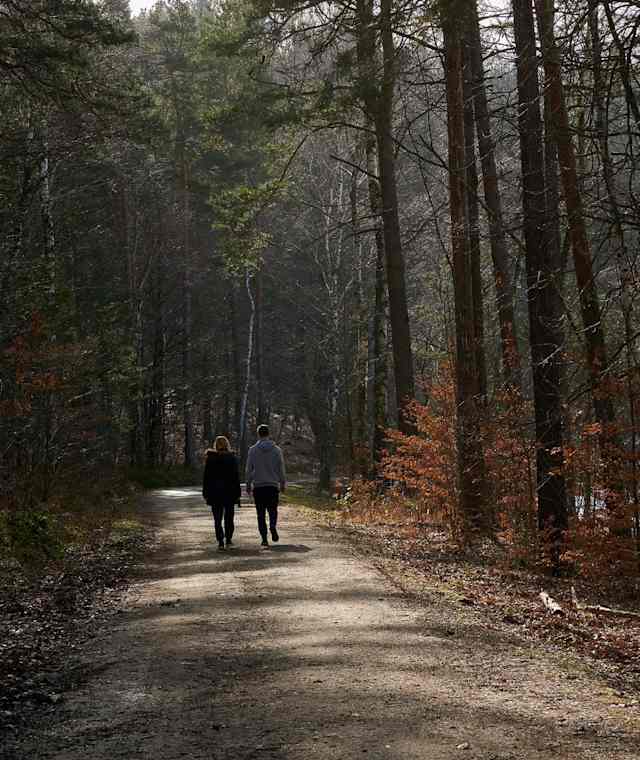 Langenhennersdorf Weg zum Labyrinth