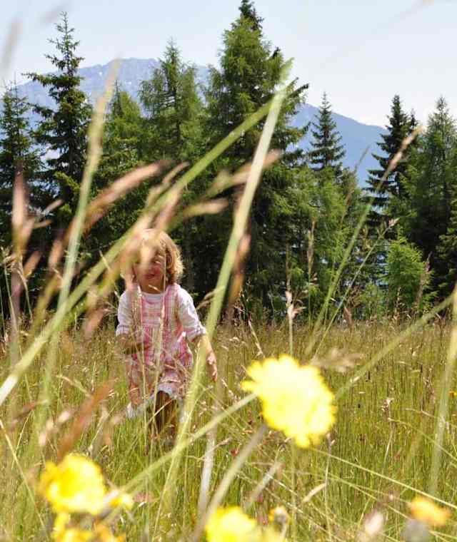 Natur-pur am Almkräuter Lehrpfad.