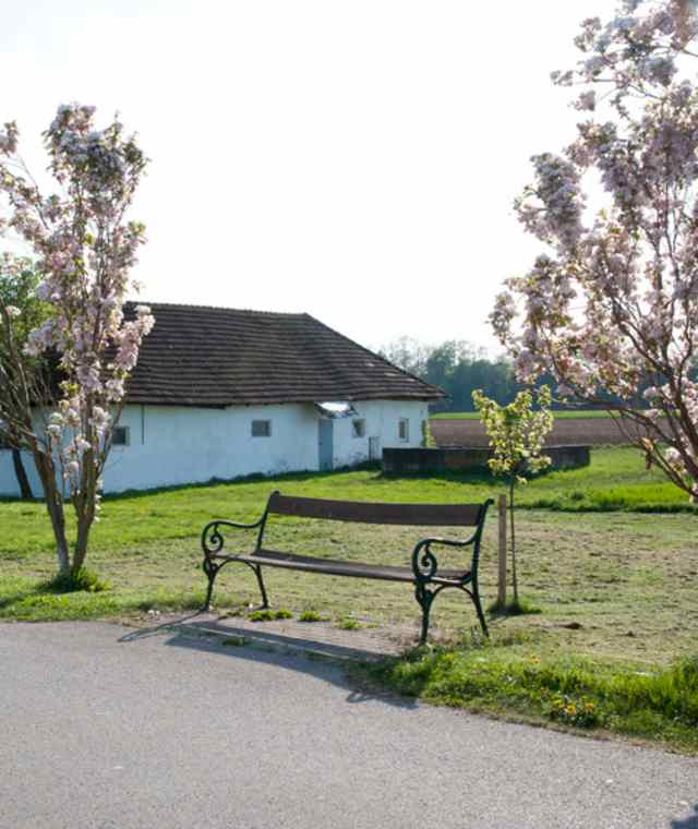 Kirchschlägerweg