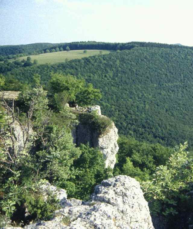 Wackerstein