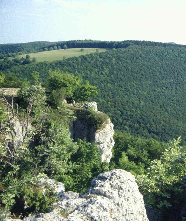 Wackerstein