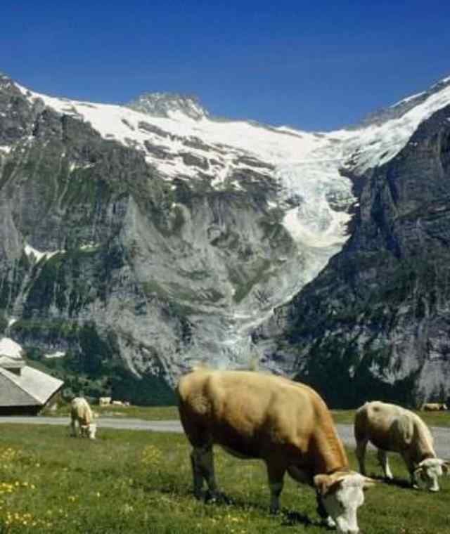 Nodhalten