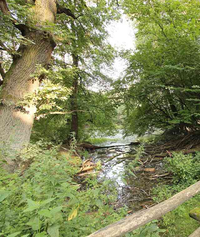 Wanderwege bei Orth im Nationalpark Donau-Auen