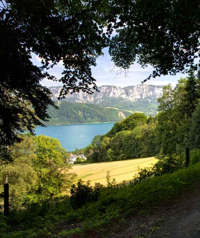 Nussdorf - Pfarrer Salettl - Westwanderweg - Reitherweg - Nussdorf