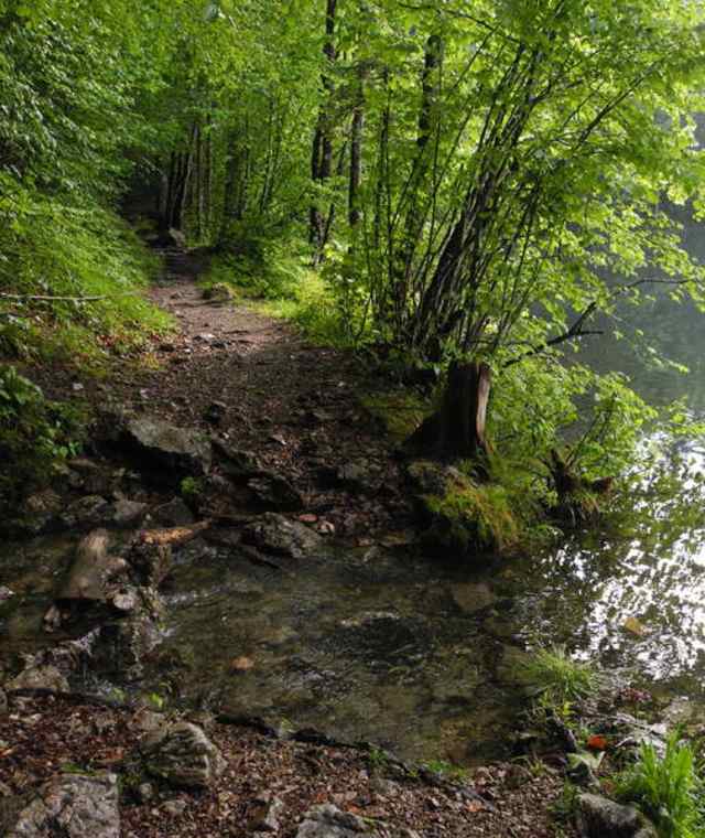 Nussensee