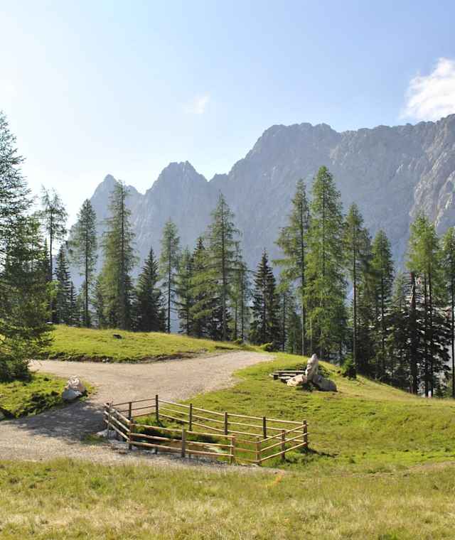 Orgisalm mit Blick zur Vertatscha