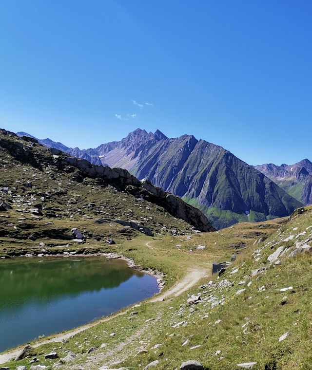 Am Pfitscher Joch