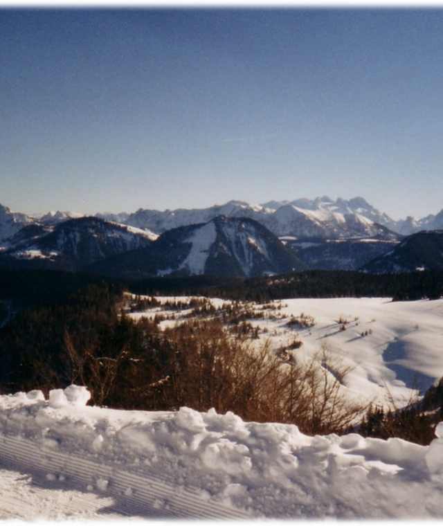 Winterwunderland
