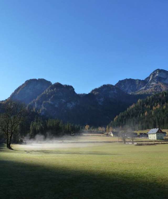 Panoramarunde Hinterwildalpen 