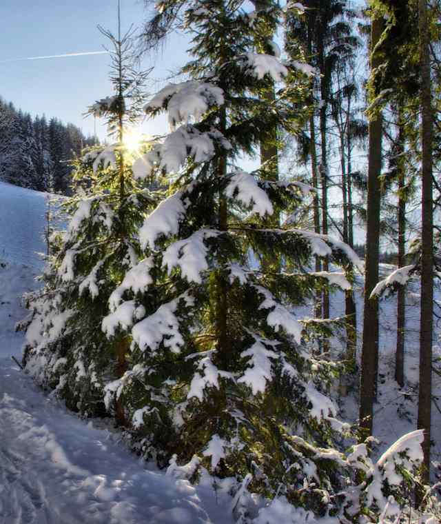 Wandern durch die Winterlandschaft.