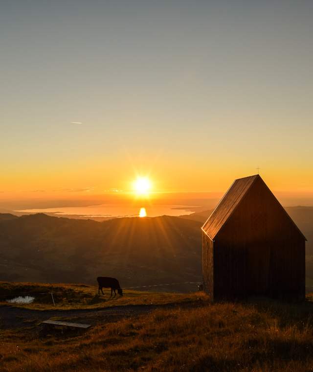Vordere Niedere mit Blick auf den Bodensee