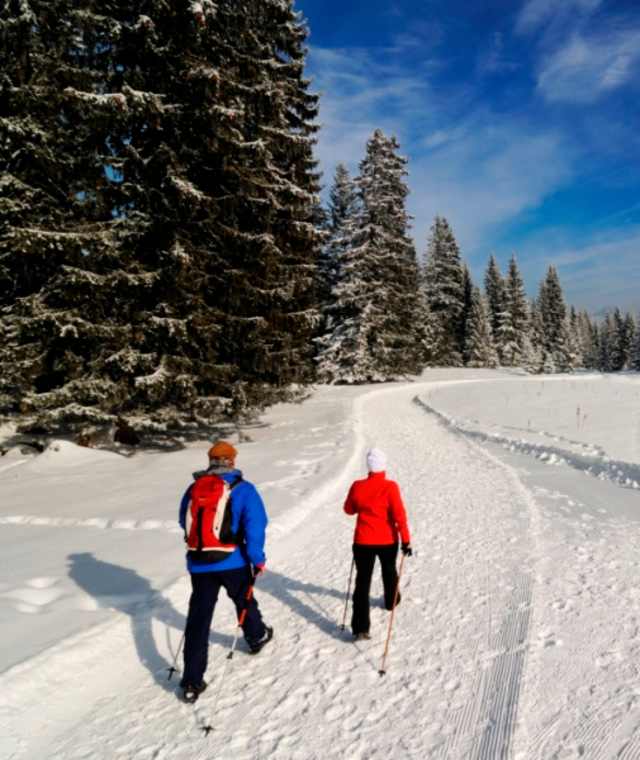 Premium Winterwanderweg