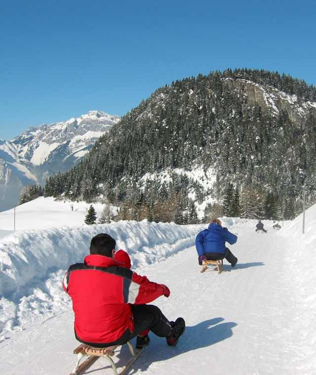 Rodeln auf dem Panoramaweg