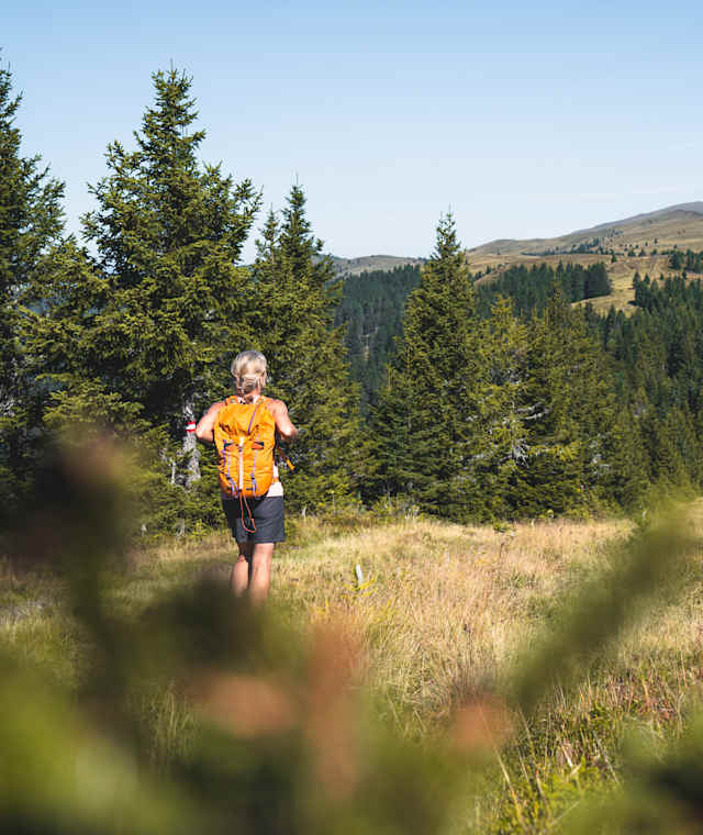 Wanderung am Klippitztörl