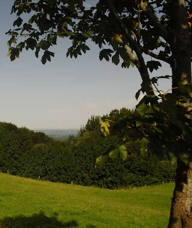 Blick vom Pattenberg zum Chiemsee