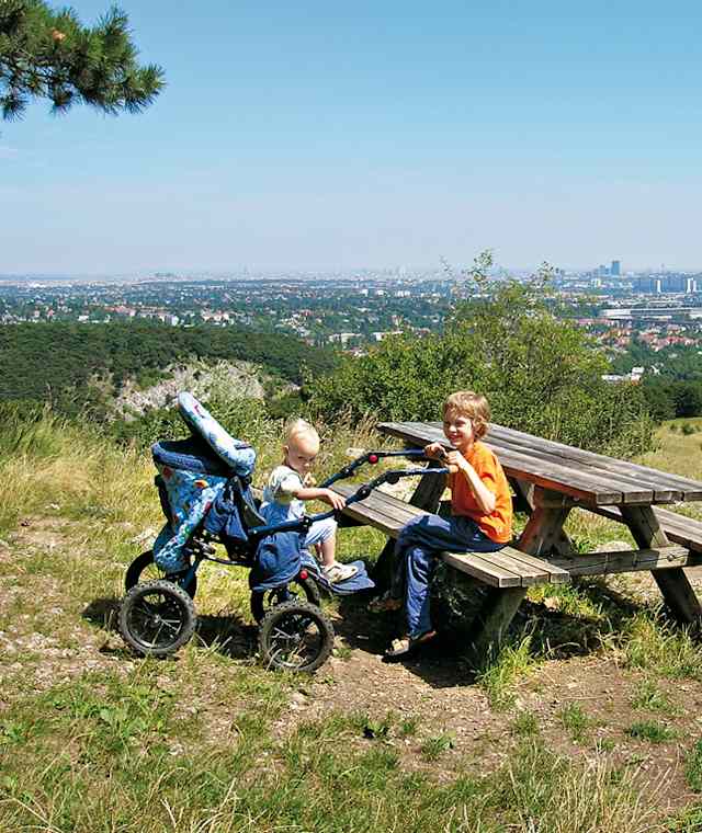 Ein Rastplatz mit Blick über Wien.