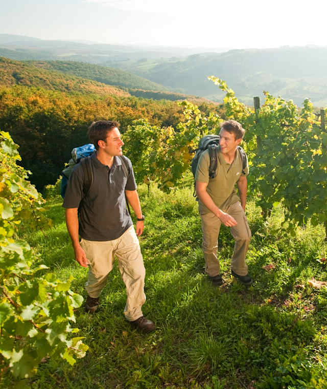 Weinberge bei Obermoschel