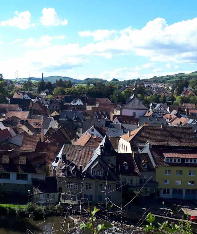 Ausblick auf Meisenheim