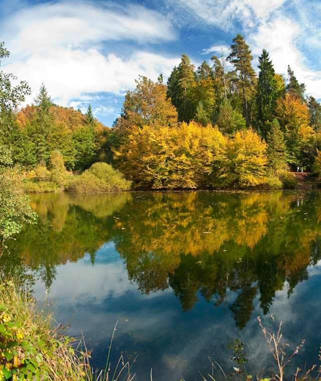 Perdsbrunner Weiher im Herbst