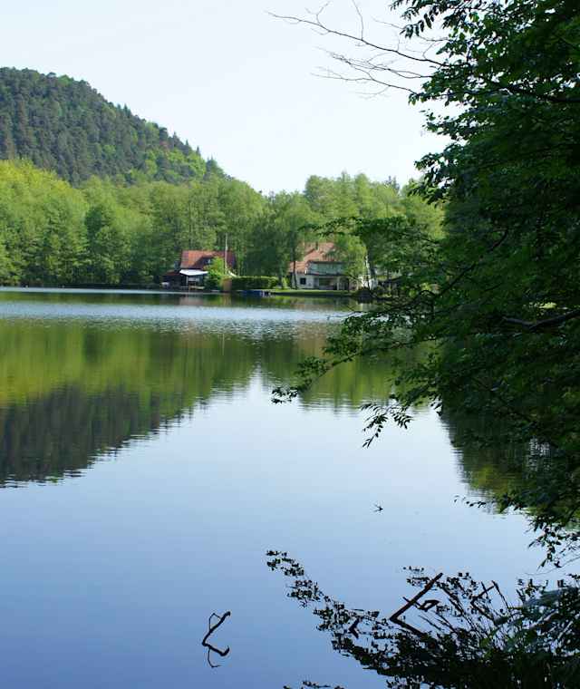 Seehof-Weiher