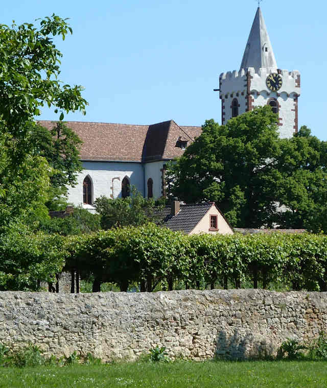 Das Weindorf Bockenheim