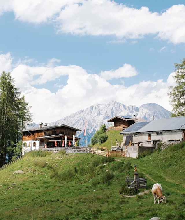 Die Pfaffenhofer Alm liegt auf 1.694m Höhe.