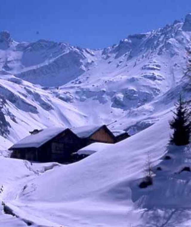 Pfafflar im Winter