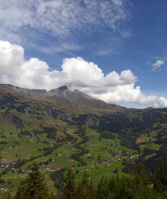 Ausblick auf der Wanderung Pfingstegg - Milchbach - Hotel Wetterhorn
