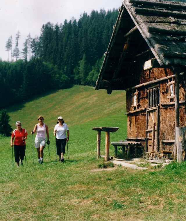 Nordic-Walking