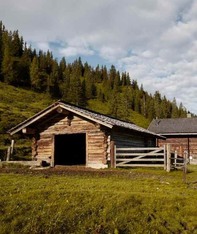 Die Pölsneralm