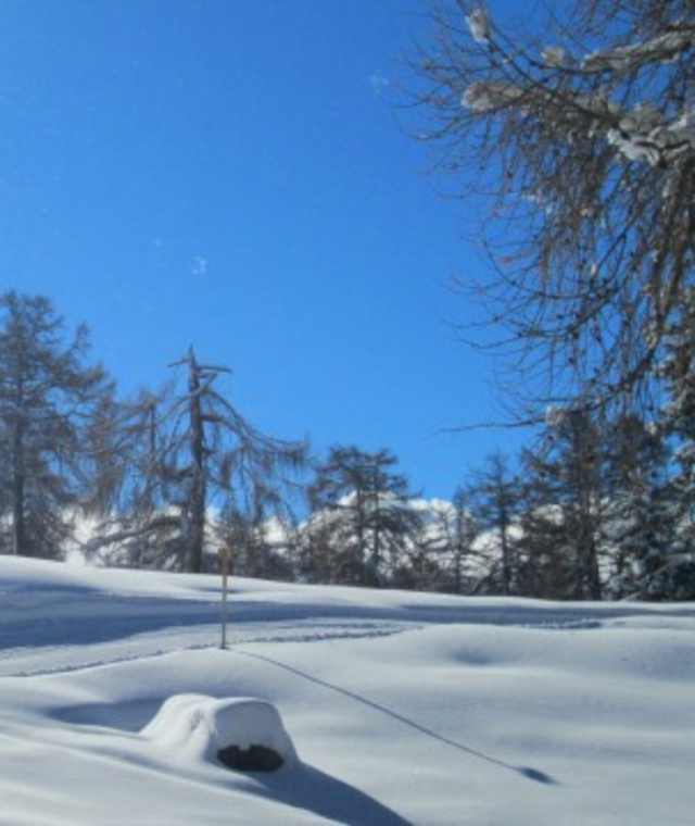 Winterwonderland auf der Pra da Dzeu