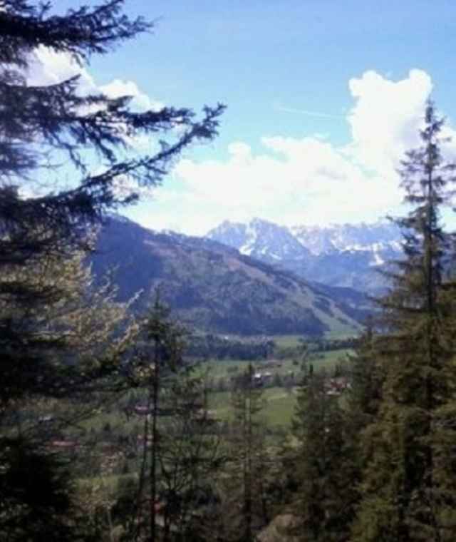 Blick zum Kaisergebirge