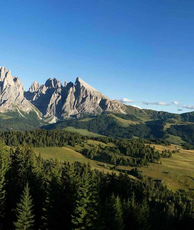Die Seiser Alm