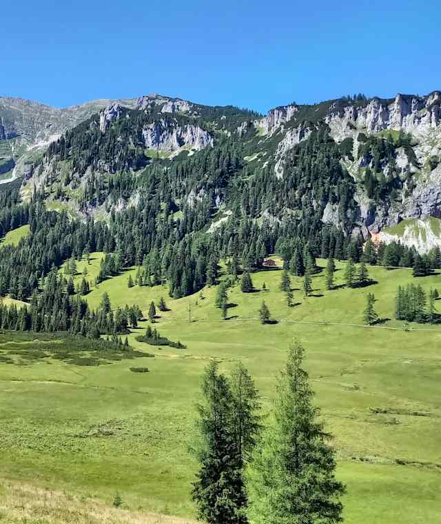 Linzer Haus - Wurzeralm