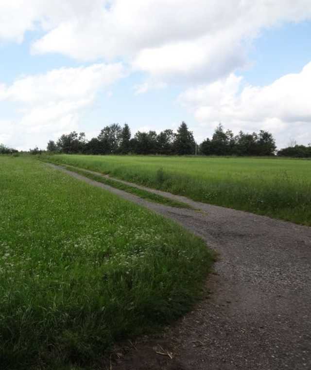 Am Weg