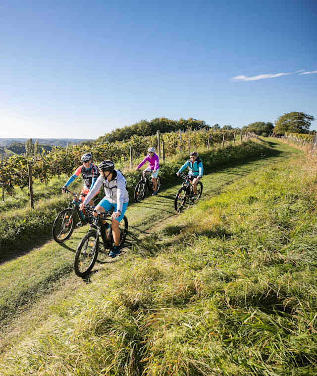 Unterwegs am R12: Weinberge in der Steiermark