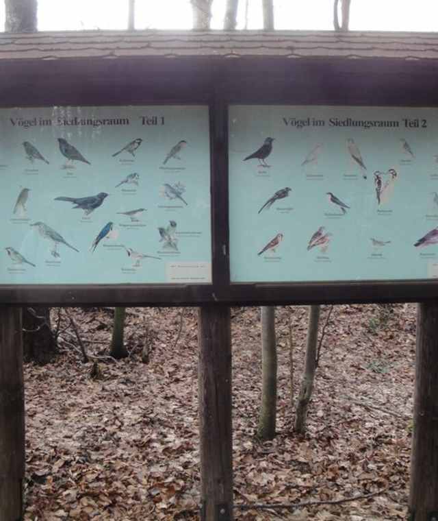 Info-Schild Vogelkunde