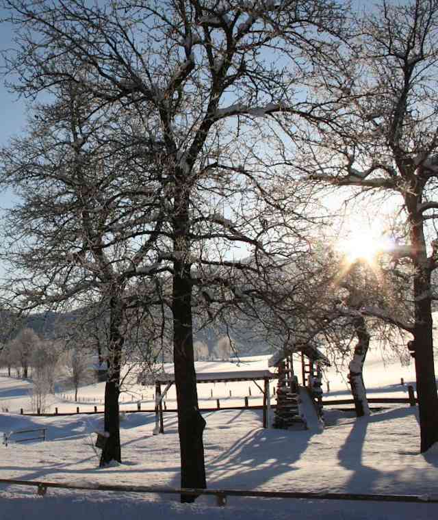 Winter