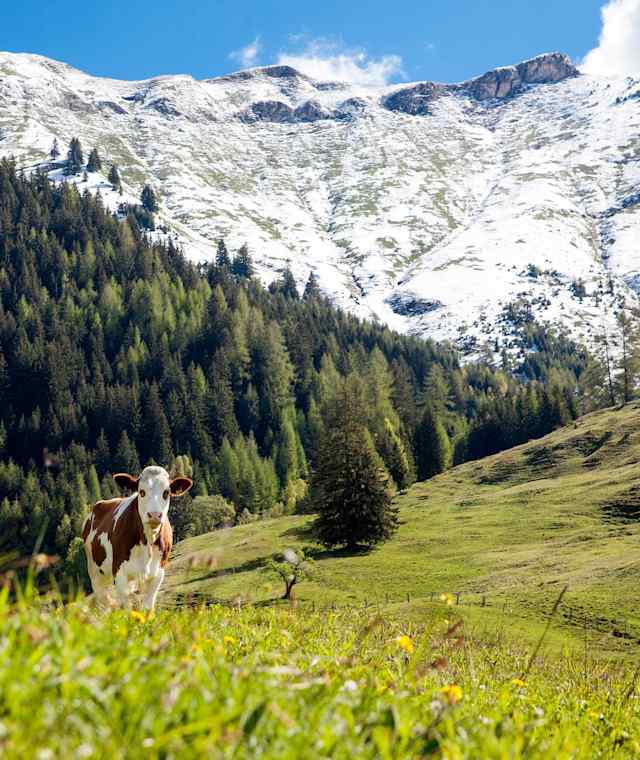 Gaisbachtal